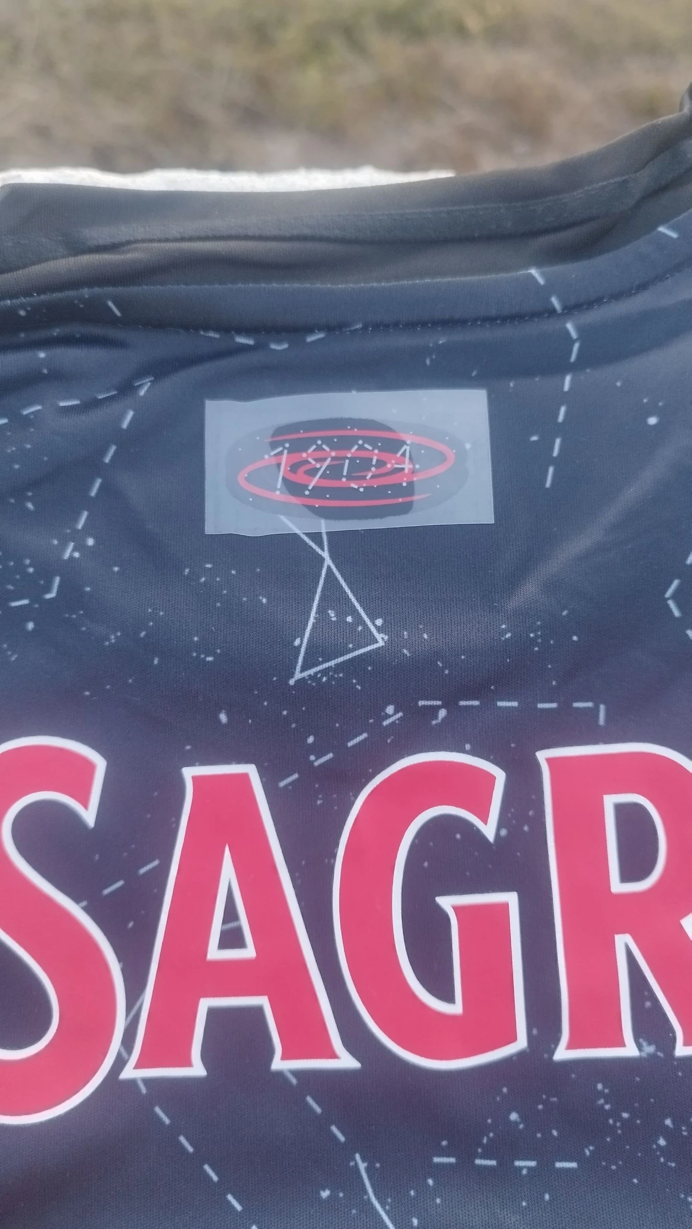 Benfica Jersey – photo 5